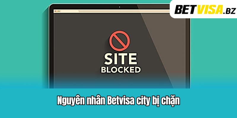 Nguyên nhân Betvisa city bị chặn
